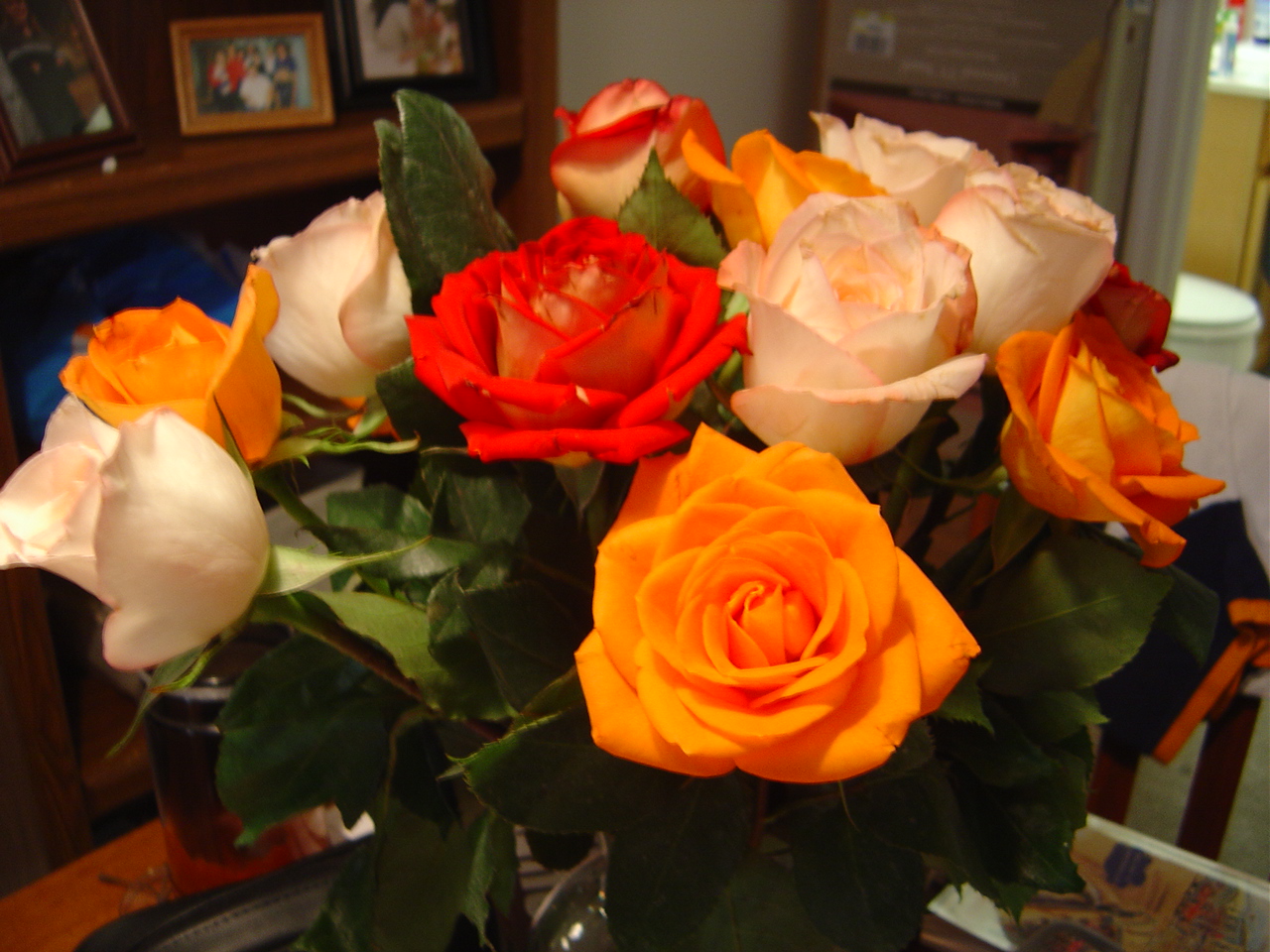 DSC01452.JPG