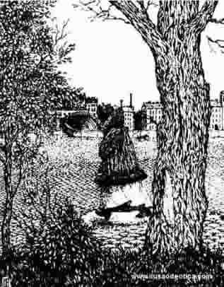 Optical Illusion - Face