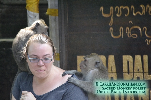 Sacred Monkey Forest Ubud Bali Indonesia