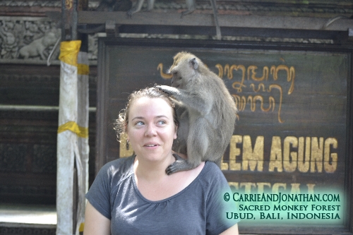 Sacred Monkey Forest Ubud Bali Indonesia