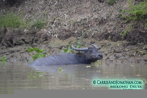 Cruising up the Mekong River from Vietnam to Cambodia