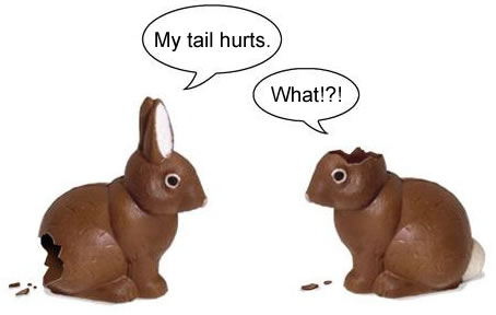 bunnies.jpg