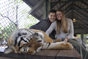 Carrie And Jonathan with tigers in Thailand