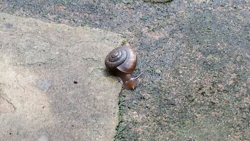 20130920_112012.jpg image