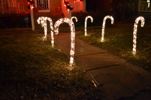 We found Candy Canes (in Plentitude)