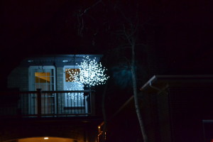 The Christmastime Burning Bush