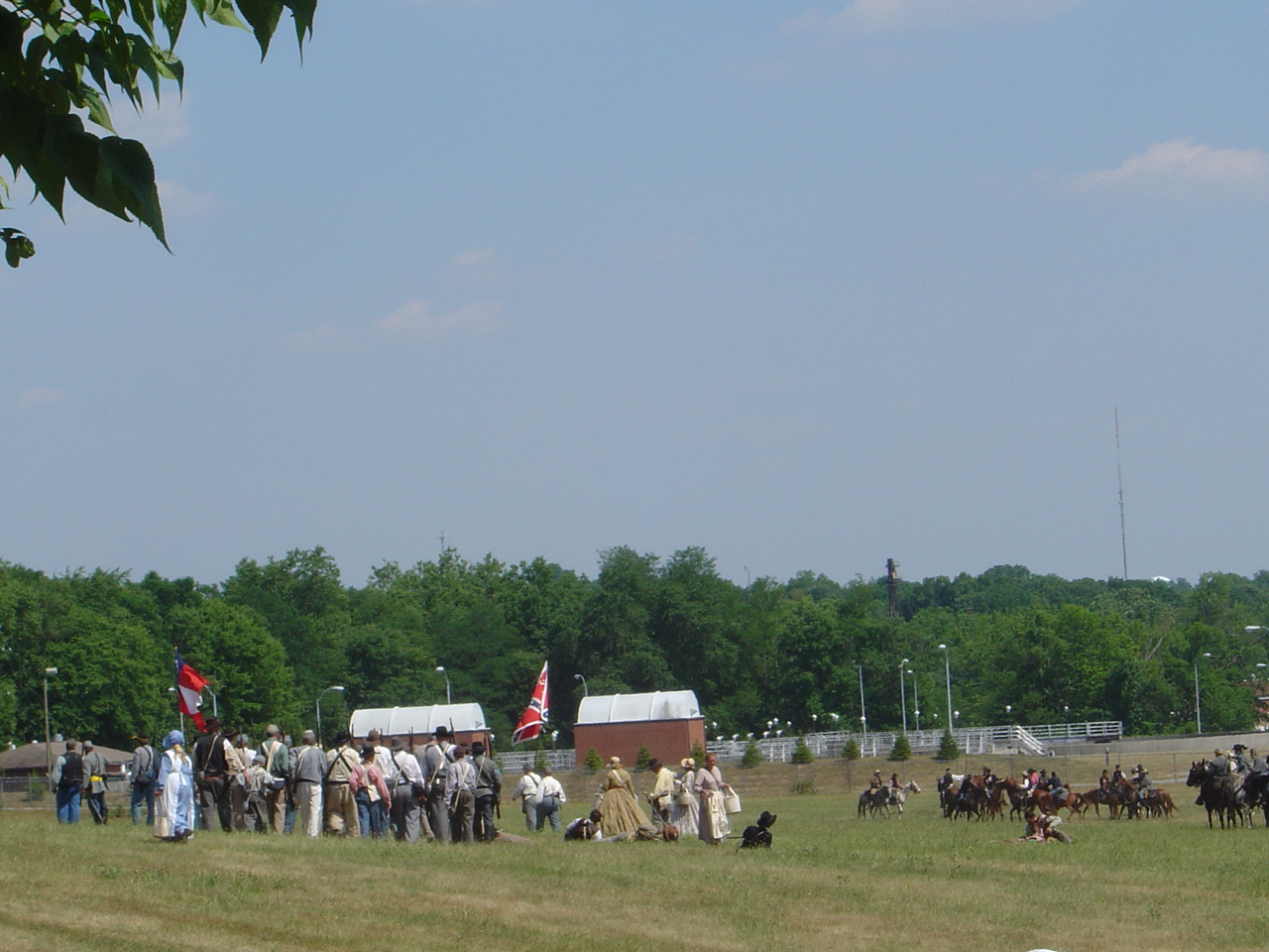 DSC01458.JPG